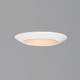Diverse LED Flush Mount (57631WTWT)