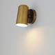 Spot Light LED Outdoor Wall Sconce (62001NAB)