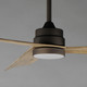 Vortex 52" Ceiling Fan (88847WTCHL)