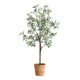 Uttermost - 60241 - Tree - Olea - Terracotta