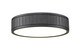 Z-Lite - 1005F12-MB-LED - LED Flush Mount - Madison - Matte Black