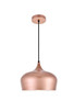 Elegant Lighting - LDPD2003HG - One Light Pendant - Nora - Honey Gold