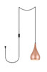 Elegant Lighting - LDPG2001HG - One Light Plug in Pendant - Nora - Honey Gold