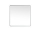 Elegant Lighting - MR804848S - Mirror - Evermore - Silver
