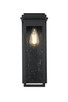 Elegant Lighting - OD362W19BK - One Light Outdoor Wall Sconce - Dunton - Black
