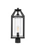 Elegant Lighting - OD606P21BK - One Light Outdoor Post Mount - Zora - Black and Clear