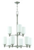 manufacturer_finish:Brushed Polished Nickel|manufacturer_glass:White Frosted
