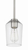 Shayna One Light Mini Pendant (56191-BNK)