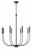 Traci Eight Light Chandelier (59828-FB)