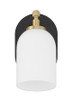 Council One Light Wall Sconce (60301-FBSB)
