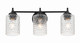 Claire Three Light Vanity (60503-FB)