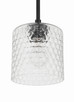 Claire One Light Mini Pendant (60591-FB)