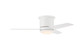 Cole 44 Indoor/Outdoor 44" Ceiling Fan (CLE44W3)