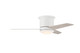 Cole 44 Indoor/Outdoor 44" Ceiling Fan (CLE44W3)