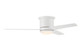 Cole 52 Indoor/Outdoor 52" Ceiling Fan (CLE52W3)