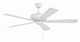 Eos 52" Ceiling Fan (ECF52W5-WWOK)