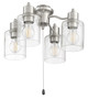 manufacturer_finish:Brushed Polished Nickel|manufacturer_glass:Clear Seeded|light_output:800.00lm|voltage:120.00V