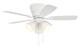 Wheeler 42 3-Light 42" Ceiling Fan (WHL42W5C3)