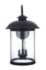 O'Fallon Three Light Outdoor Wall Mount (ZA3234-DBG)