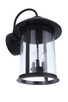 O'Fallon Three Light Outdoor Wall Mount (ZA3234-DBG)