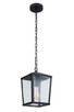 Craftmade - ZA4611-MN - One Light Outdoor Pendant - Olsen - Midnight