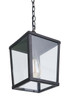 Olsen One Light Outdoor Pendant (ZA4611-MN)