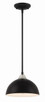 Kahn One Light Outdoor Pendant (ZA4911-MNSA)