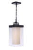 Hayner One Light Outdoor Pendant (ZA5621-MN)