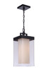 Hayner One Light Outdoor Pendant (ZA5621-MN)