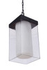 Hayner One Light Outdoor Pendant (ZA5621-MN)