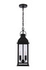 Bent Tree Two Light Outdoor Pendant (ZA7211-MN)