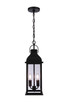 Bent Tree Two Light Outdoor Pendant (ZA7211-MN)