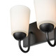 Ivey Lake Four Light Vanity (9814-MB)
