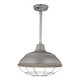 Millennium - RWHS17-GA - One Light Pendant - R Series - Galvanized