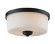 Z-Lite - 220F2 - Two Light Flush Mount - Arlington - Bronze