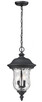 Z-Lite - 533CHM-BK - Two Light Outdoor Chain Mount Ceiling Fixture - Armstrong - Black