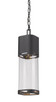 Z-Lite - 562CHB-BK-LED - LED Outdoor Chain Mount Ceiling Fixture - Lestat - Black