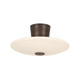 Troy Lighting - C5016-BRL - LED Semi Flush Mount - Albus - Bronze Leaf