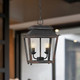 Abingdon Two Light Mini Pendant (0804-M2L ABI)