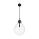 Drop One Light Pendant (2088-12P BLK-CLR)