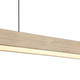 Silva LED Pendant (4962-48 DW)