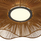 Whisper LED Pendant (6300-24 LAT)