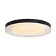 Ondulada LED Flush Mount (9518-20 SNB-CLR)