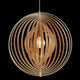 Abruzzo One Light Pendant (31873-017)