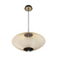 Park LED Pendant (37107-017)
