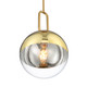 Prospect One Light Pendant (37349-011)