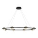 Eurofase - 39309-013 - LED Chandelier - Circolo - Matte Black