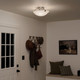 Three Light Semi Flush Mount (3627NI)