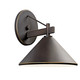 Ripley One Light Outdoor Wall Mount (49061OZ)