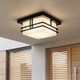 Tremillo Two Light Outdoor Ceiling Mount (49206BK)